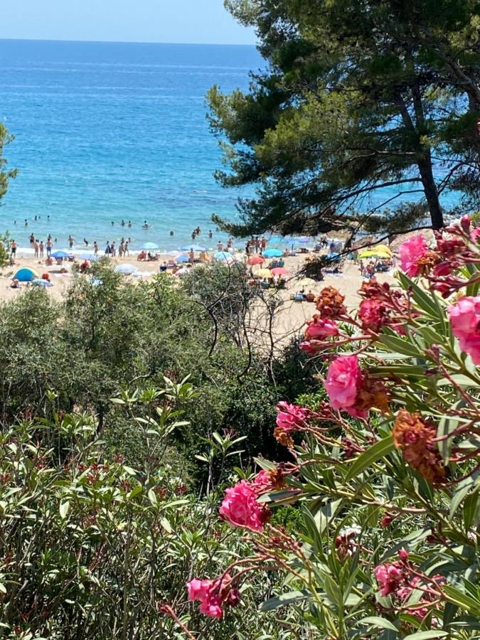 Appartamento Montemar *